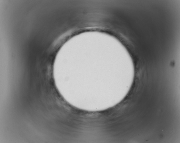 X0000111891351200909031855