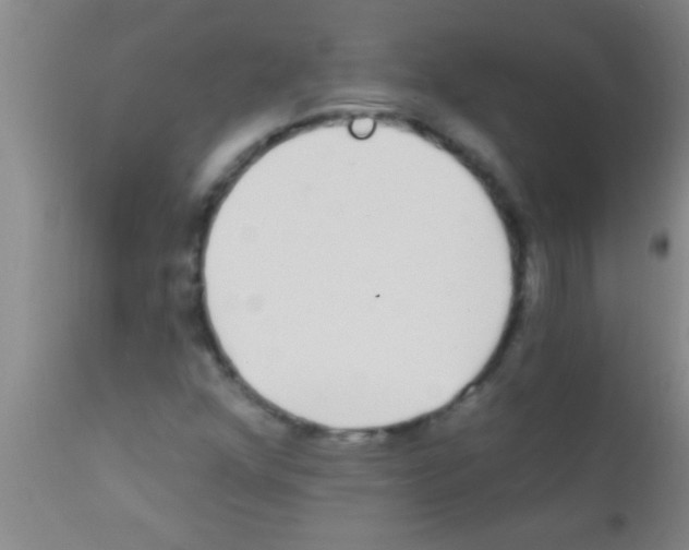 X0000111891352200909031855