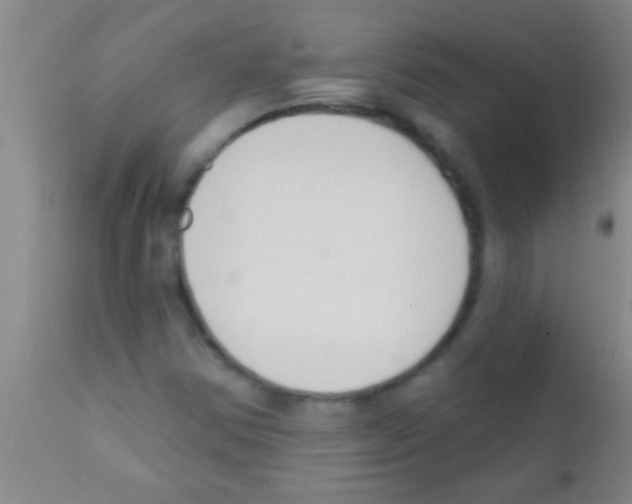 X0000111891354200909031855