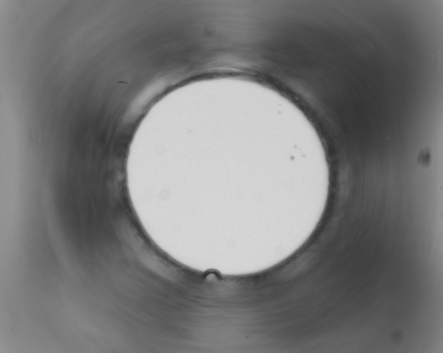 X0000111891355200909031855