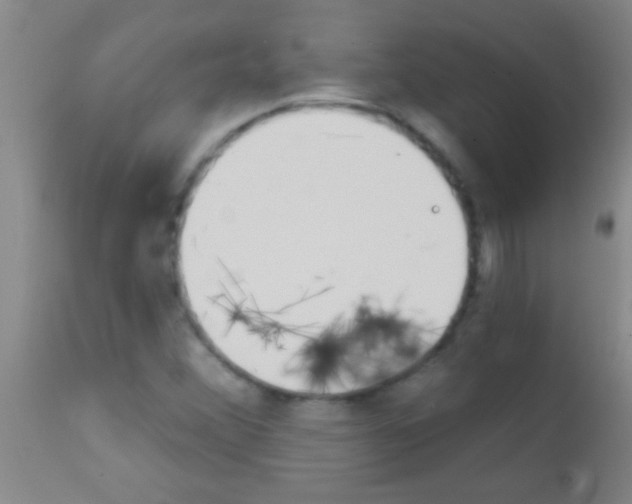 X0000111891356200909031855