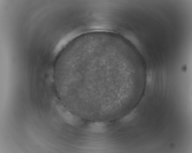 X0000111891357200909031855