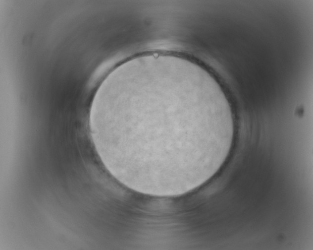 X0000111891358200909031855