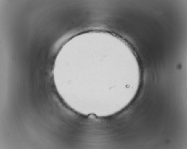 X0000111891359200909031855