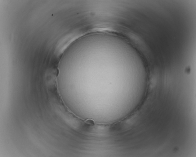 X0000111891361200909031855