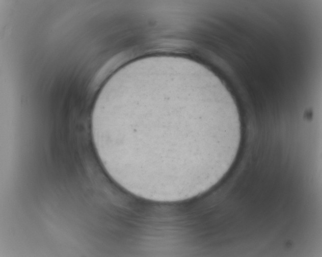 X0000111891362200909031855