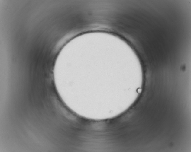 X0000111891363200909031855