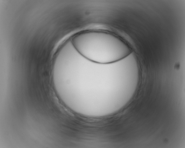 X0000111891364200909031855