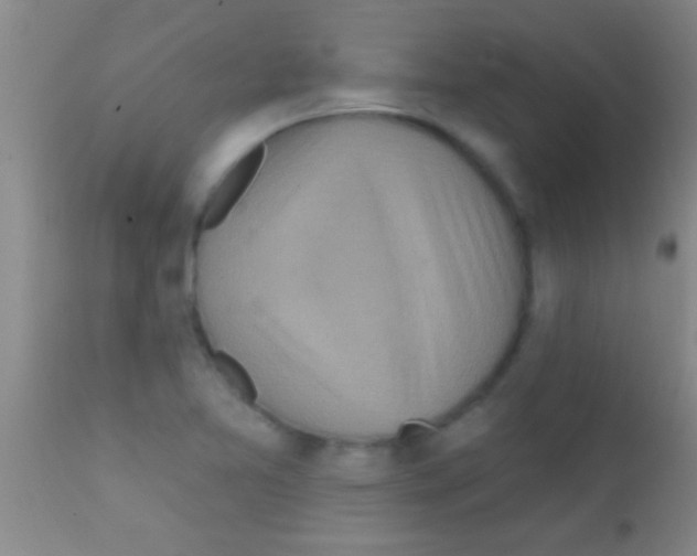 X0000111891365200909031855