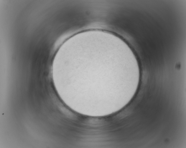 X0000111891366200909031855