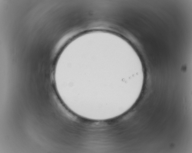 X0000111891368200909031854