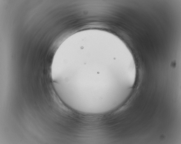 X0000111891369200909031854