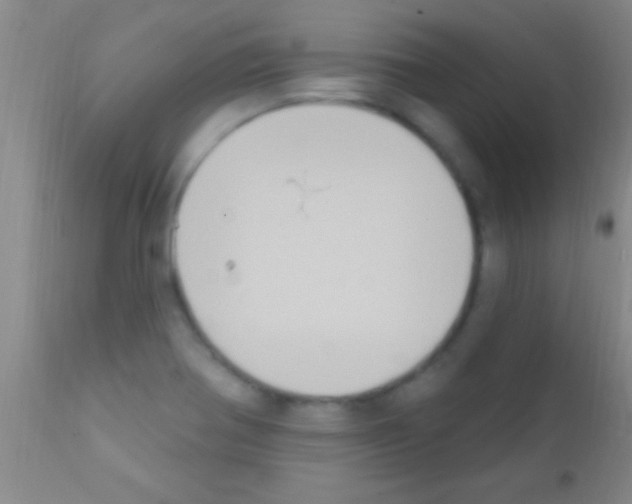 X0000111891370200909031854