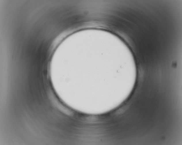 X0000111891371200909031854