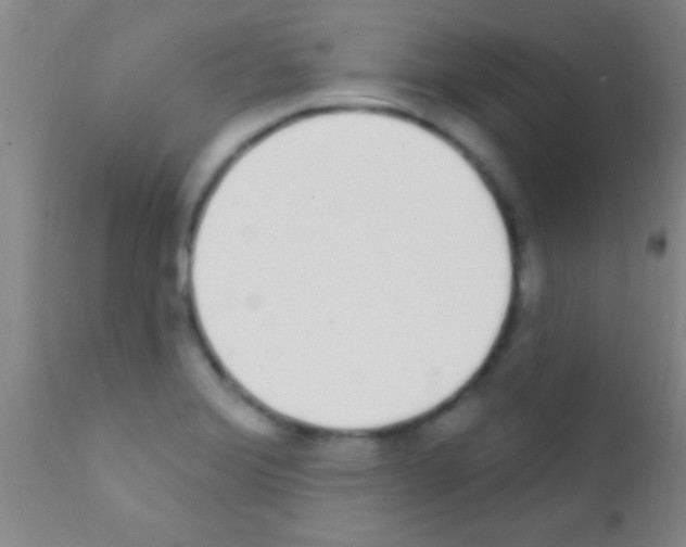 X0000111891372200909031854