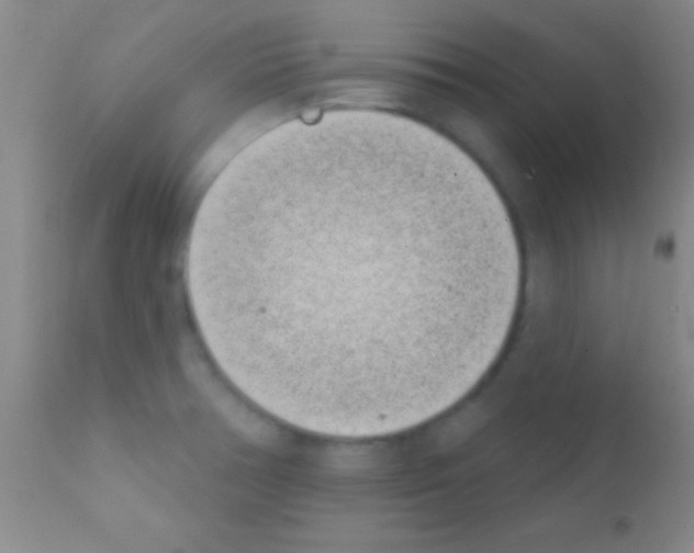 X0000111891378200909031854