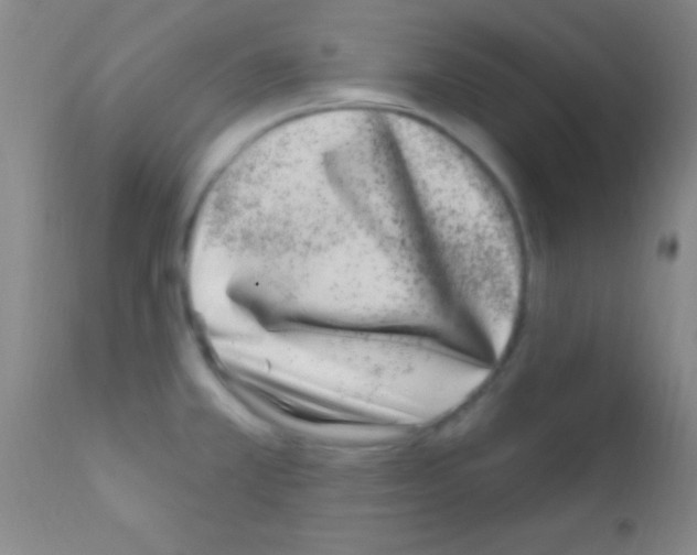 X0000111891381200909031854