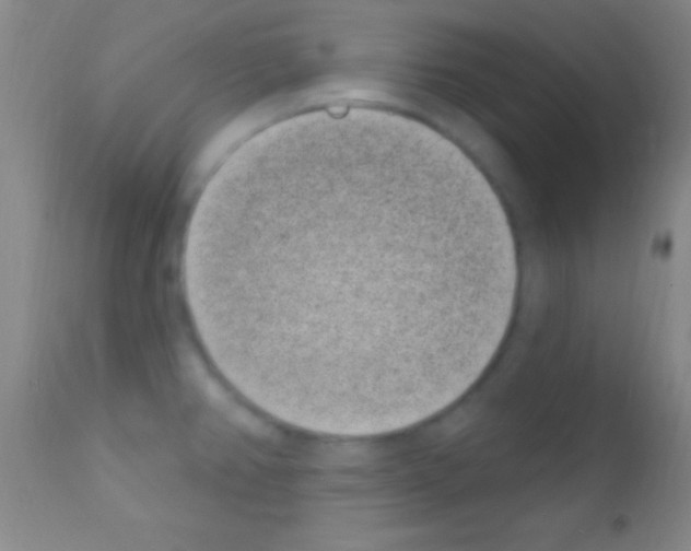 X0000111891382200909031854