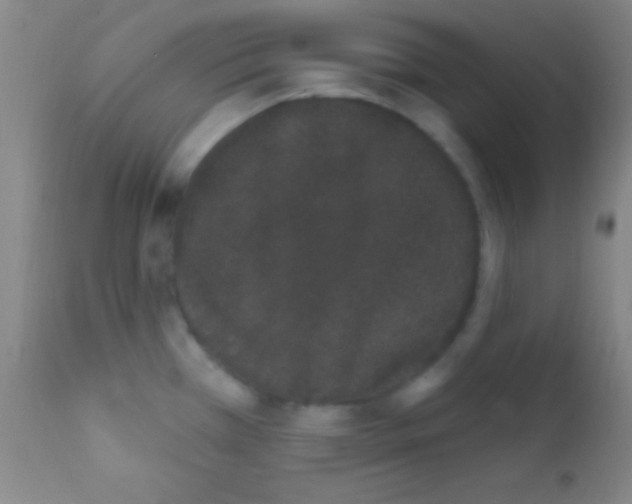 X0000111891385200909031854