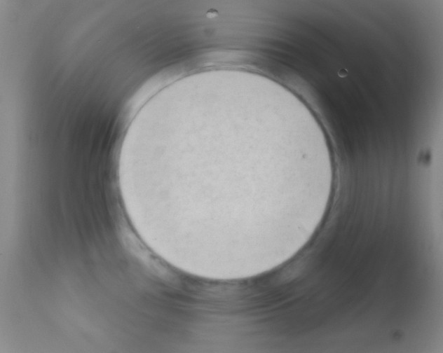 X0000111891386200909031854