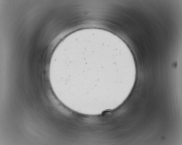 X0000111891388200909031854