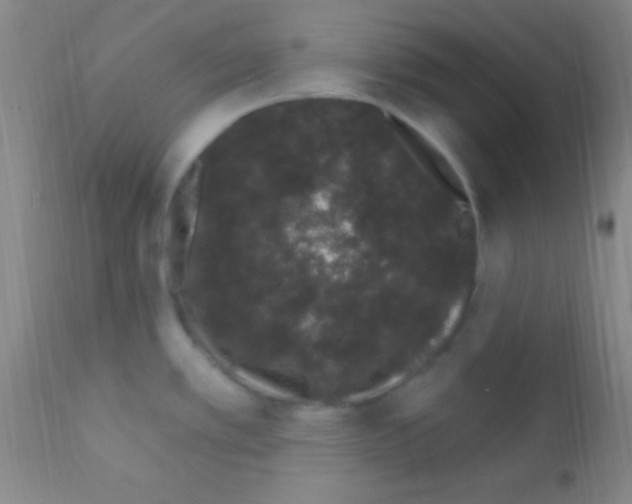 X0000111891389200909031854