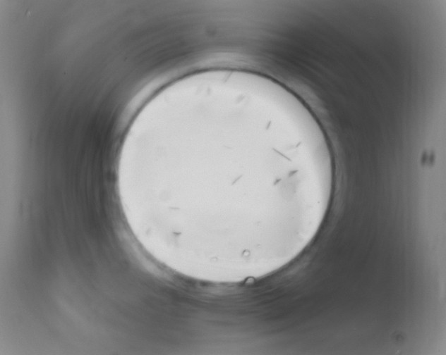 X0000111891392200909031854