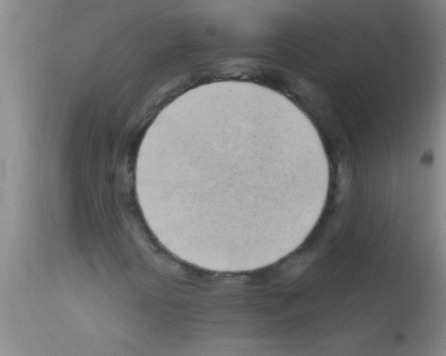 X0000111891394200909031854