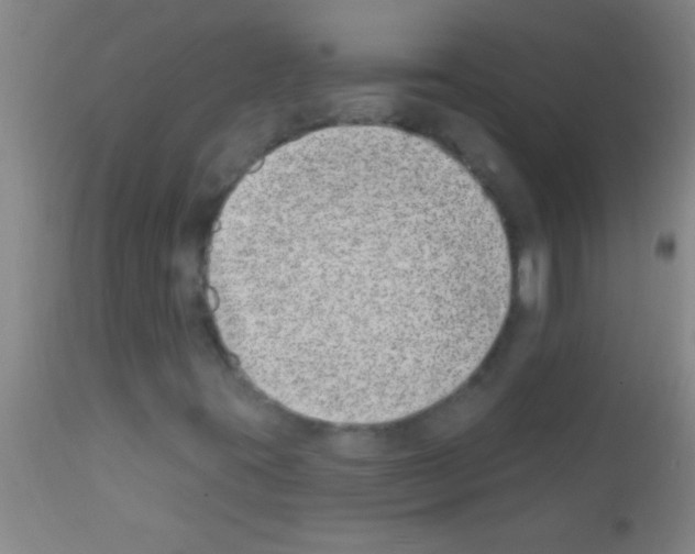 X0000111891395200909031854