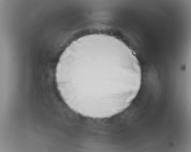 X0000111891397200909031854