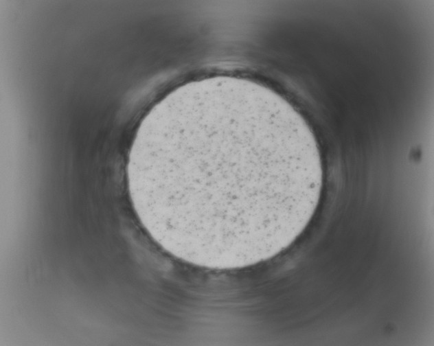 X0000111891398200909031854