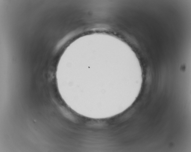 X0000111891400200909031854