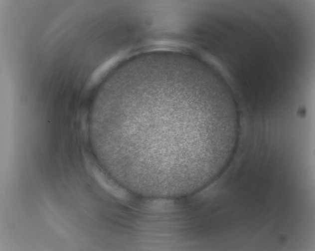 X0000111891403200909031854