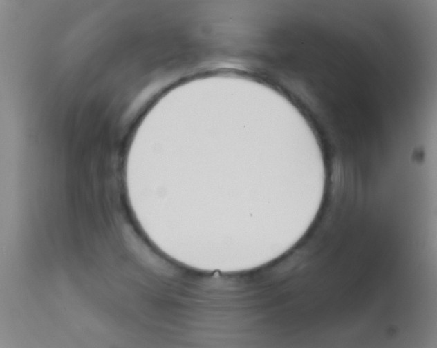 X0000111891404200909031854