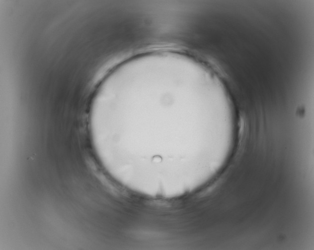 X0000111891405200909031854