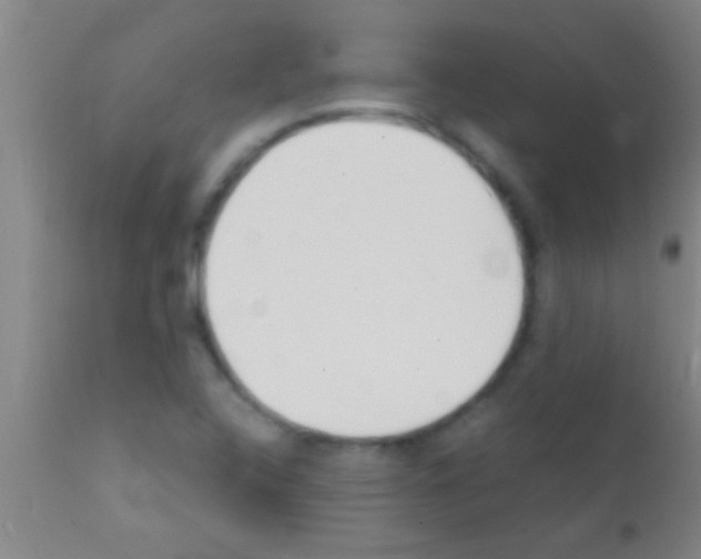 X0000111891408200909031854