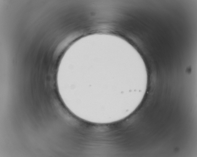 X0000111891410200909031854