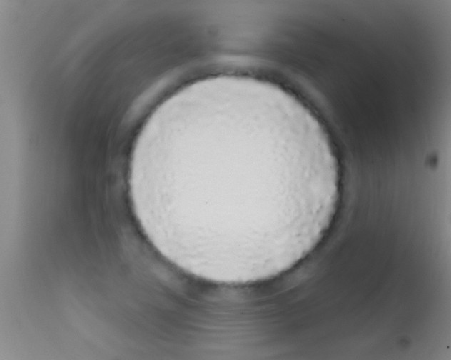 X0000111891411200909031854