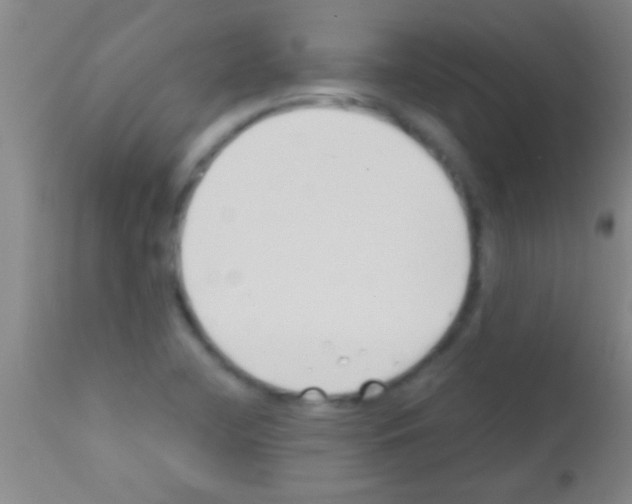 X0000111891412200909031854