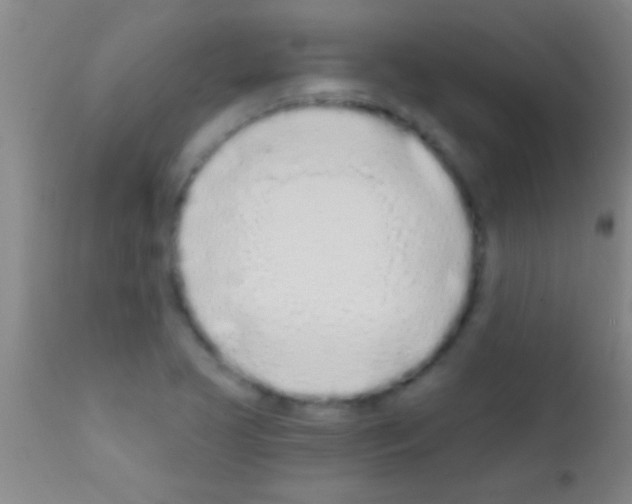 X0000111891413200909031854