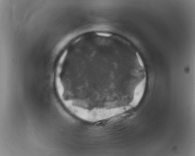 X0000111891414200909031854