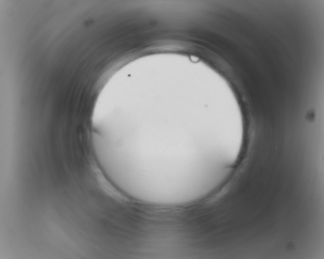 X0000111891417200909031854