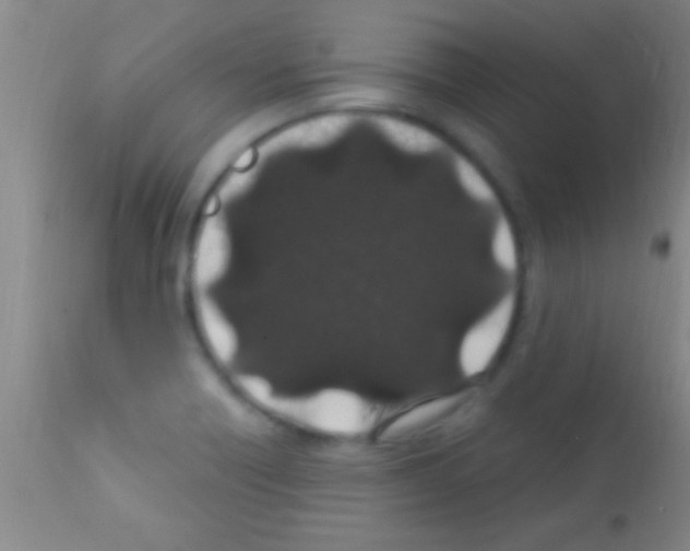 X0000111891418200909031854