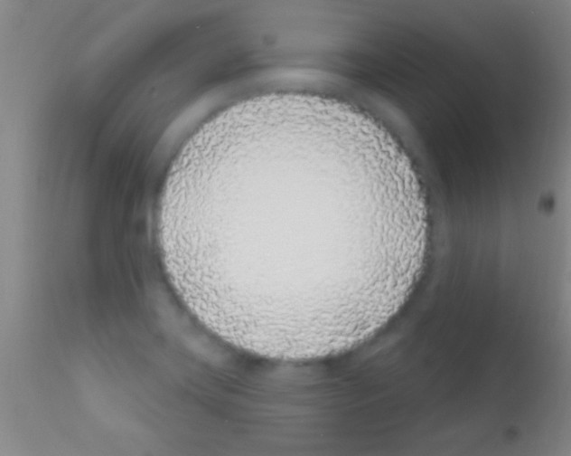 X0000111891419200909031854