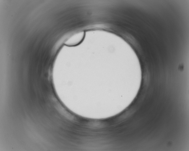 X0000111891420200909031854