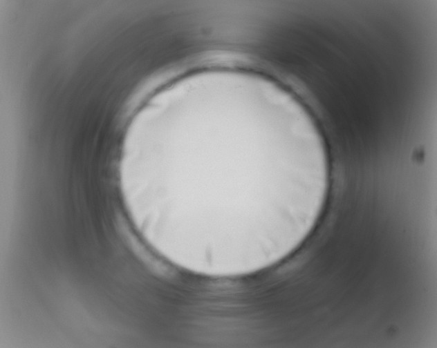 X0000111891421200909031854