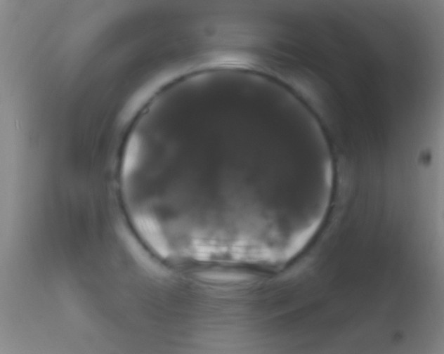 X0000111891422200909031854