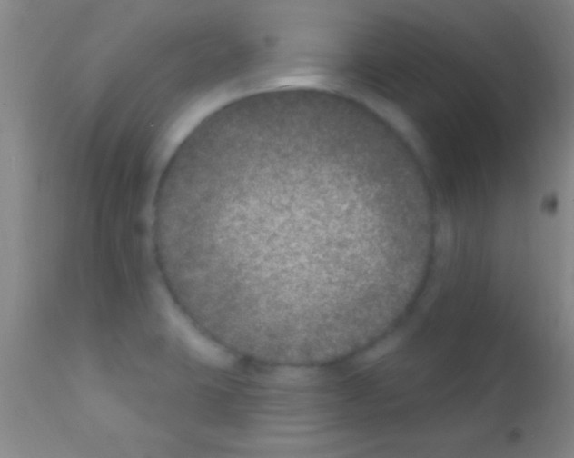 X0000111891423200909031854