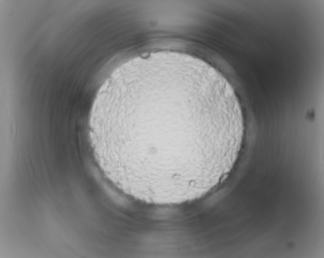 X0000111891425200909031854