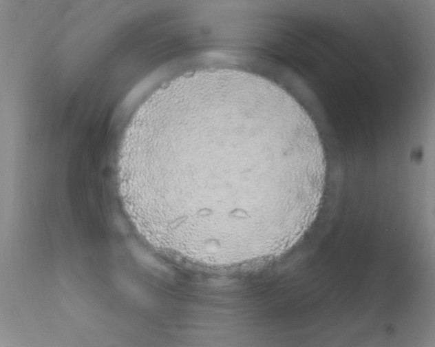 X0000111891427200909031854